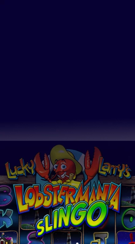 hero-mobile-slingoe-img